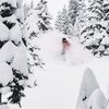 nskierstead